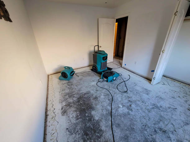 Best Flood restoration services  in Butler, AL