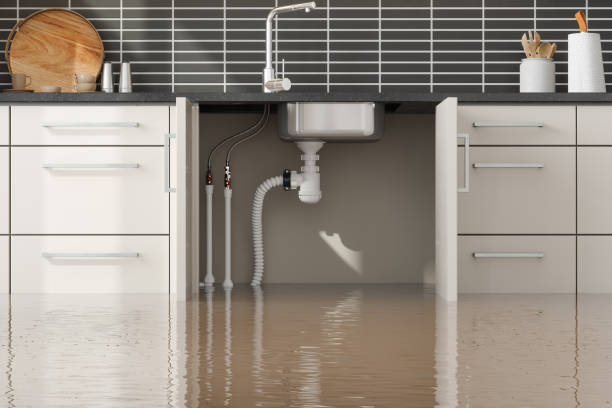 Best Sewage cleanup and water damage restoration  in Butler, AL