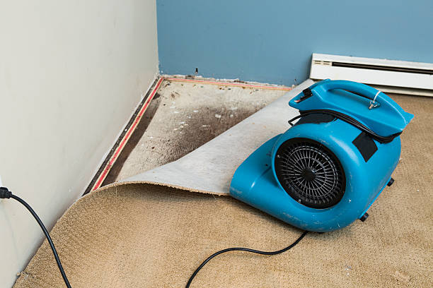 Best Residential water damage restoration  in Butler, AL